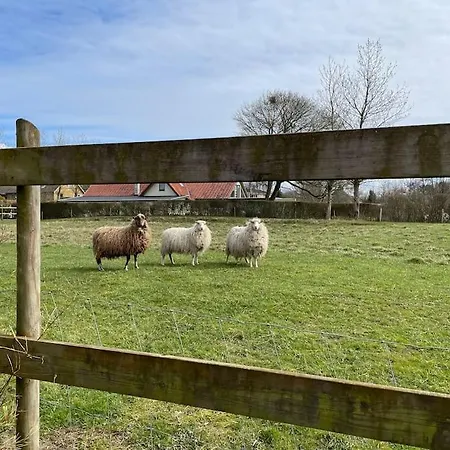 I Lille Lokalsamfund Willa Jelling